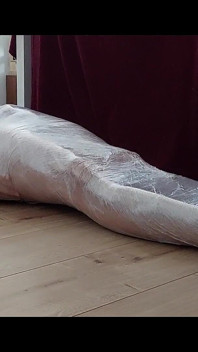 Mumifikovaný, zlechtlý a pošlapaný - udělala ho pod mými nohama