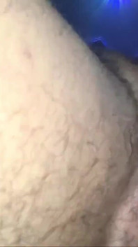 3069646