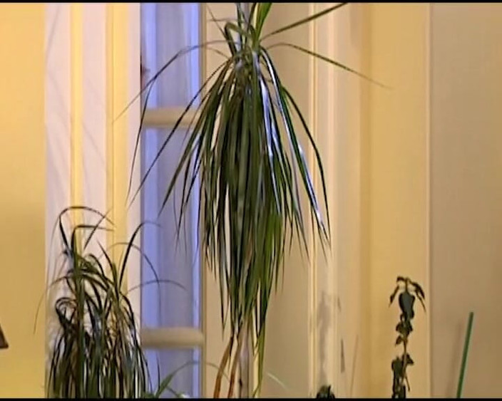 German Amateur Videos: 3명의 독일 창녀와 애널 페티쉬 세션