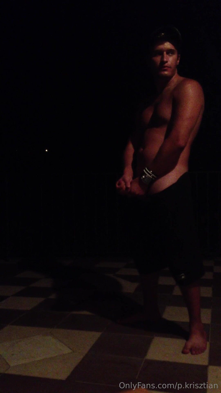 Palko Krisztian: Dick Fap Night