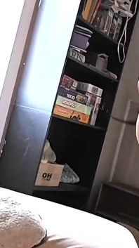 Beautiful Big Titty Dark Haired Girlfriend Gets Pounded While Being on Top