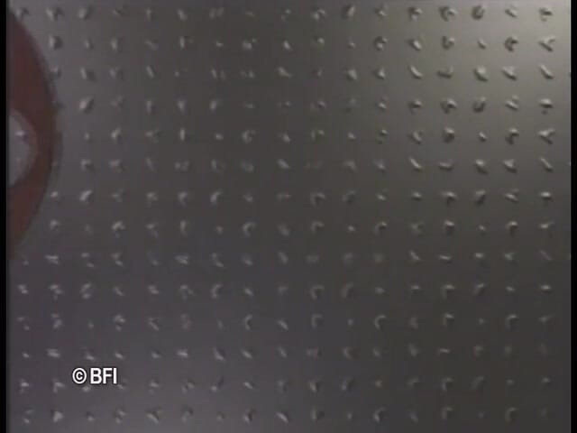 Tight sweet and irrestible sweet teen pussy: Gadis kampus sejati