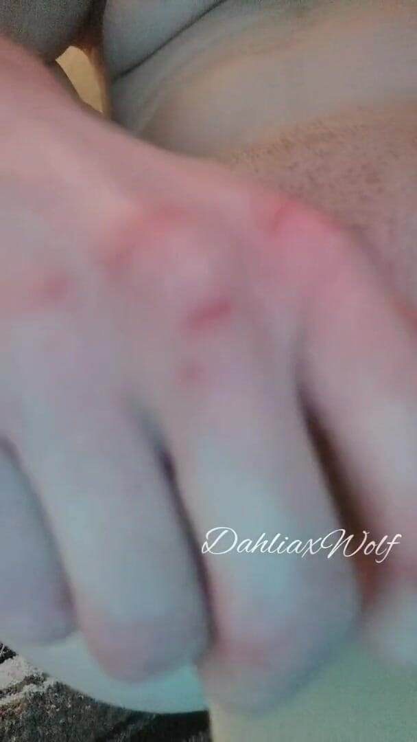 Dahlia Wolf: クリーミーな剃毛猫の浸透をクローズアップ