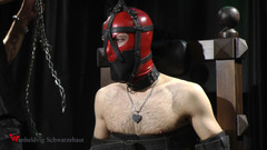 Wanheldvig: Zeus amordaçado sob máscara e elétrico aos pés