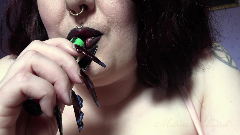 Mxtress Valleycat: Pelatihan kepatuhan nikotin nebula