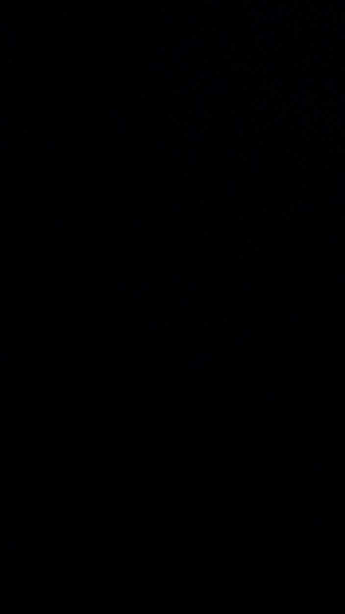 IntimateIsles: Auto-sex