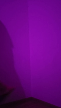 Purple Anal Fantasy 1