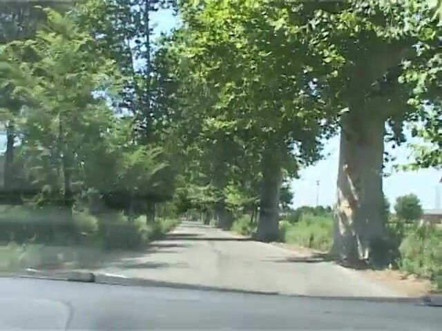 King Of Amateur: Toma esta polla y corre