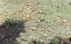 Desi Girlfriend I Will Wander Me Boobs or Pussy Windy Outdoor Full HD Videos