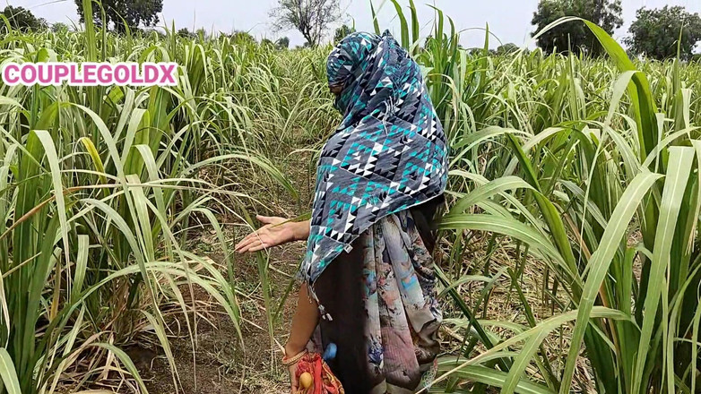Sexy Komal: Komal neukpartij door Malik tijdens het werken in het veld
