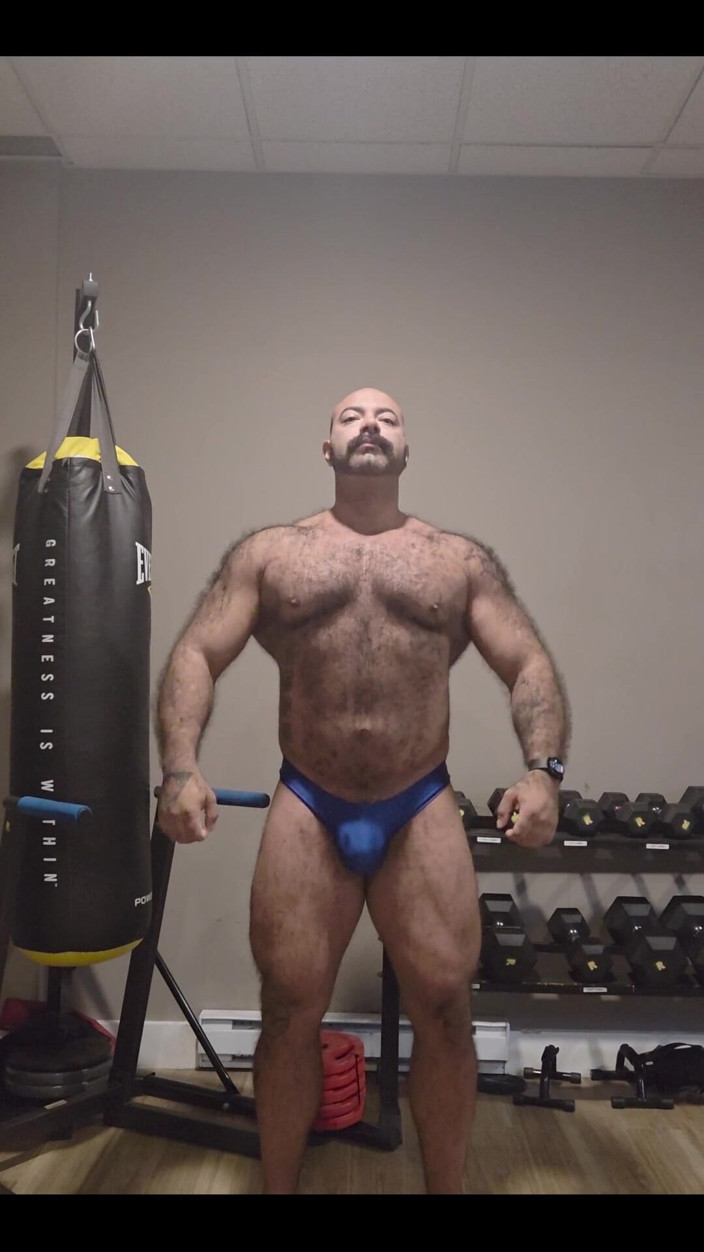 Lobo: Muscular