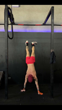 Gym Exercises