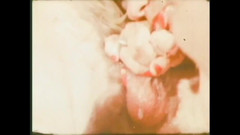 Vintage Megastore Full hd: De hoer speelt met het apparaat