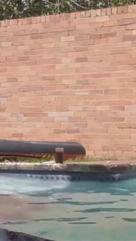 Swimming Pool Fuck