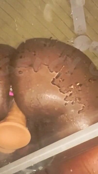 Je me regarde me baiser à bout de souffle sur cette table