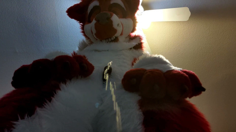 PawgrammerSocks: Furry in Full-body Fursuit Pisses on You, Then Cums Over...