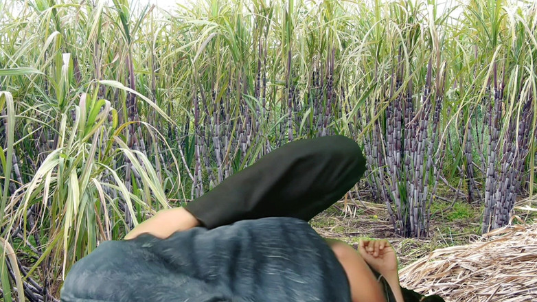 Rakul008: Neuken in het suikerrietveld