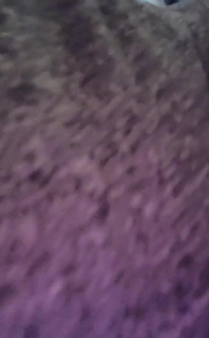 Raven Willow: 6 смердючих пукає, щоб ви з'їли до 2