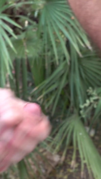 Stranger Cock