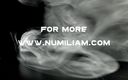 Numi Liam: 情熱的なディックライディング