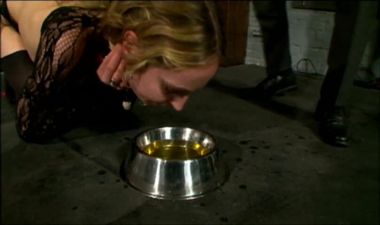 Absolute BDSM films - The original: Treated like a Dog - BDSM Fantasies
