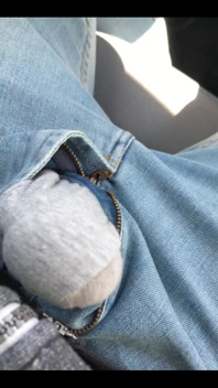 Horny Im Auto