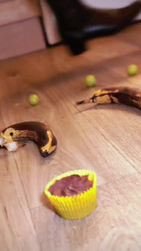 Evil Girls Food Obliteration