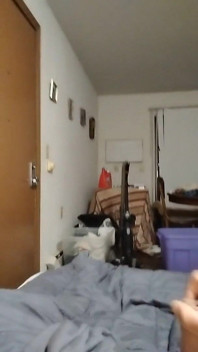 5-14-2025 Nut in Bed