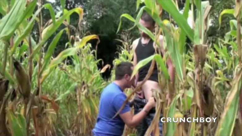 Crunch Boy: Chico plano follado por curiosos heterosexuales en el campo de...