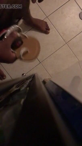 Sexy sereppu: Masturbándose con el zapato de mi esposa