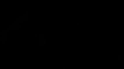 Wraith ward: エスメラルダの深夜のブーティコール