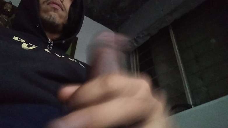 AlexAlejandro13: 좋은 아침입니다, 파페로 친구들