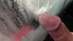 Peter Slipperman: Škádlení ptáka ve vaně