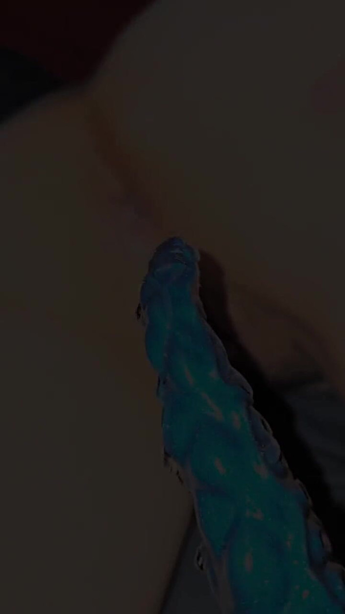 litlekate: Осьминог