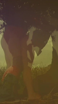 Echoes of the Wilderness
