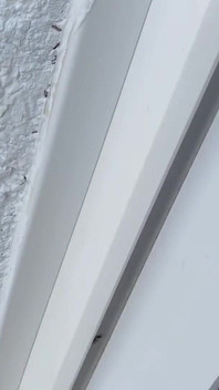 Dealing with Son's Friend