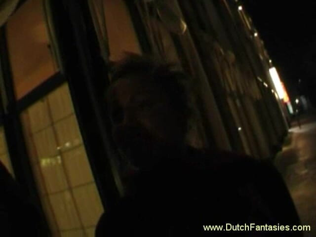 Dutch Fantasies: Nederlandse fantasieën: Dutch Fantasy #125