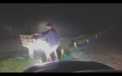 एक हैलोवीन दिन, और क्या हो सकता था?