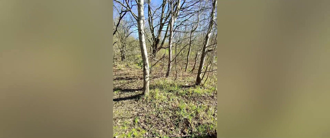 Hot dick in your ass: Prosty żonaty facet głodny mojego penisa w strefie rejsu.