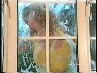 Lady Sonia: El limpiador de ventanas