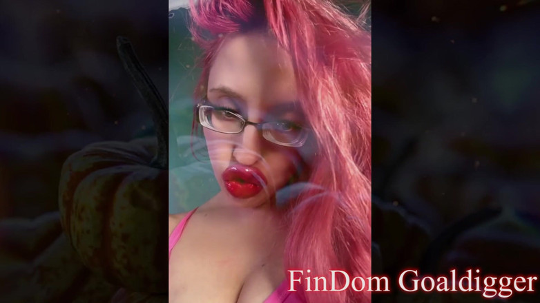 FinDom Goaldigger: Sexy slut Girl Transformation in LA