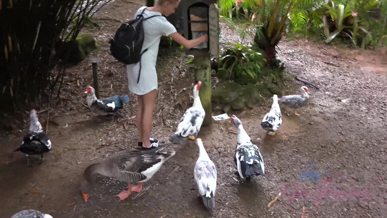 ATK Fans (Girlfriends): Virtual Vacation in Hawaii with Emma Hixx 9/16