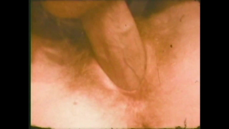 The Unforgettable: Le Suceur De Cochon