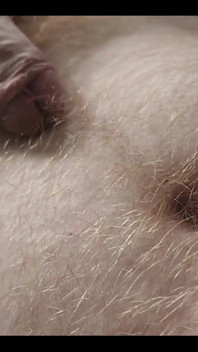 Anybody Want to Run Their Hands Over My Hairy Ginger Chest and Belly?