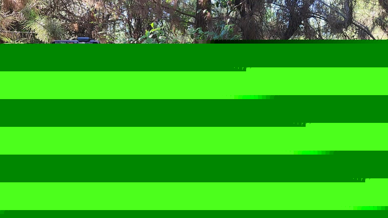 Riderqueen BBW Step Mom Latina Ebony: ライダークイーン・アウトドア:アウトドアファンのためのビデオ