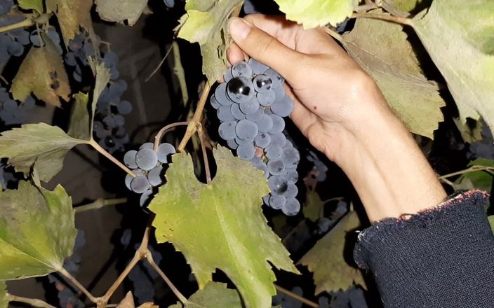 Lesbian-illusion: My Neighbor Thanked Me for the Grapes with Cunnilingus