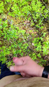 Horny in Forest