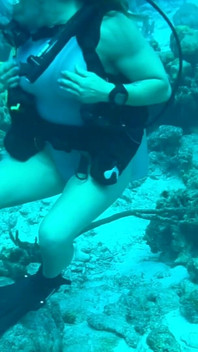 Waktunya sendirian di Bonaire