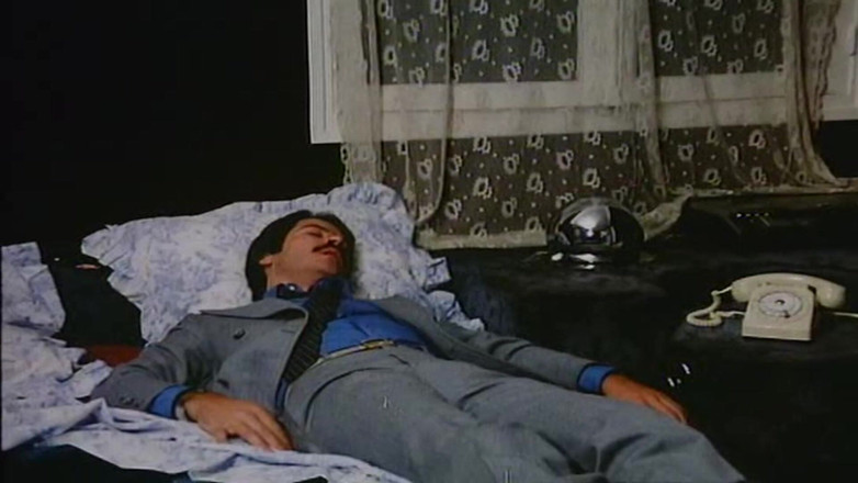 Euro Blue Movies: Stéphanie Recto-verso (1978) Aka French Love
