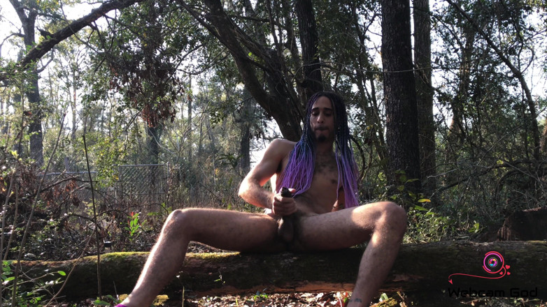 Arthur Eden aka Webcam God: A lonely log (4K)